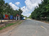 CHÍNH CHỦ BÁN ĐẤT THỔ CƯ TẠI LAI HƯNG - BÀU BÀNG - BÌNH DƯƠNG